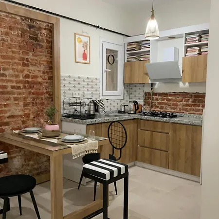 2br And 2bath Balcony In Heart Of Isatanbul #3 Istanbul